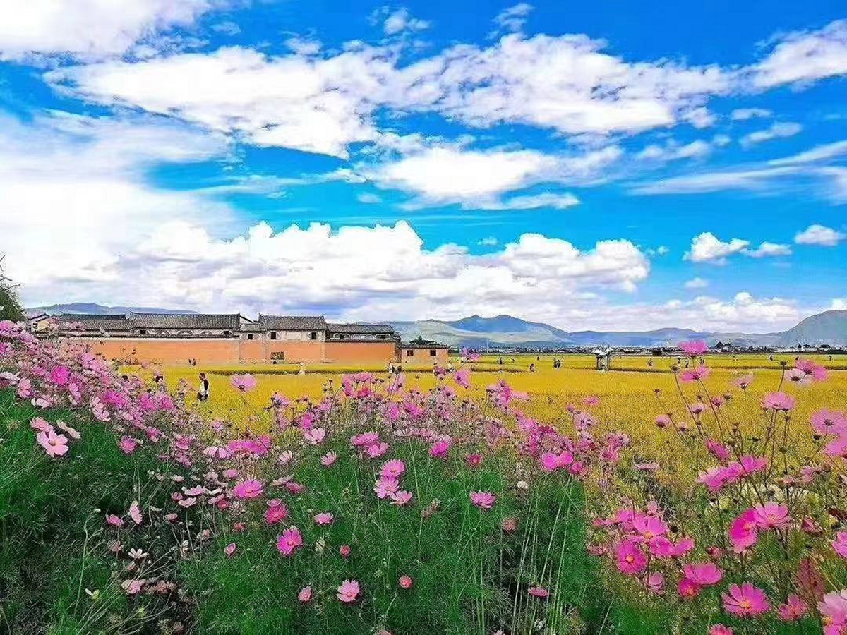 1632291206891715.jpg (小圖)大喜之洲(2).jpg